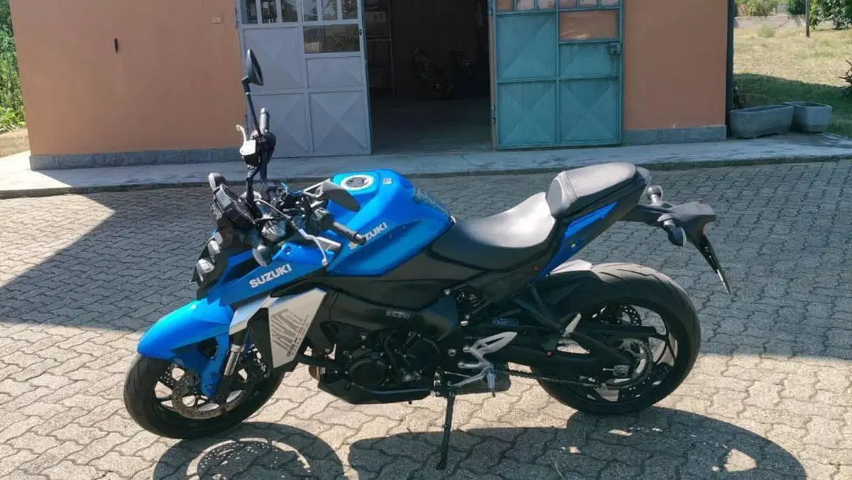 Suzuki GSX-S950 (2021 - 23)  (4)