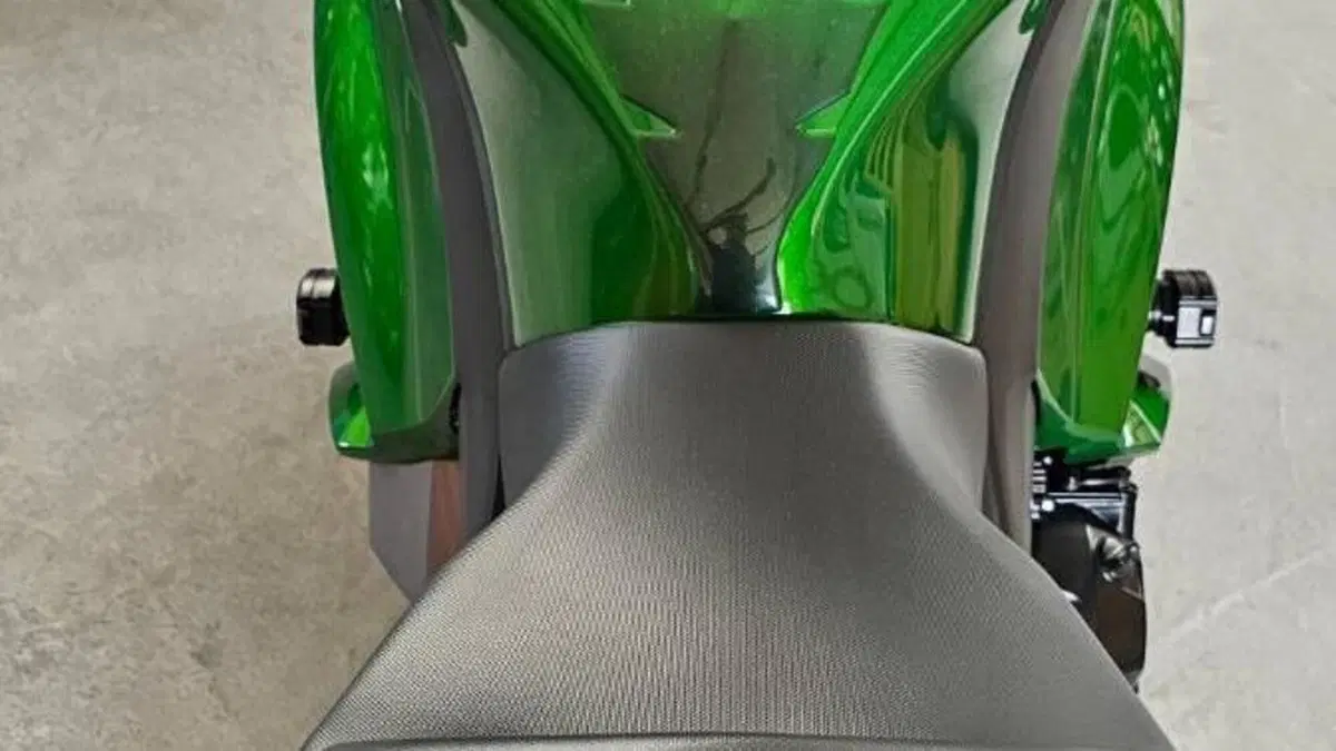 Kawasaki Z 1000 SX Tourer (2017 - 20)  (19)