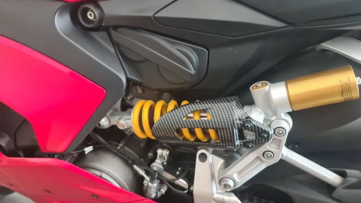 Ducati Panigale V2 955 (2020)  (4)