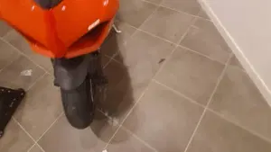 Ducati Panigale V2 955 (2020)  (12)