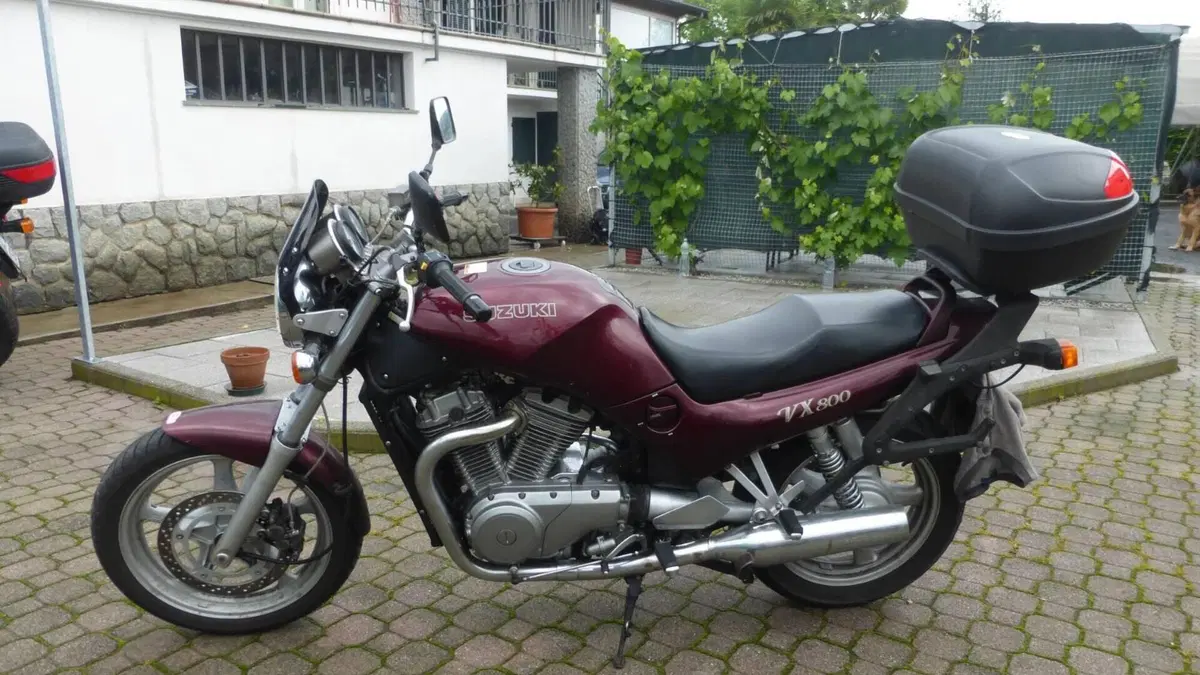 Suzuki   (2)