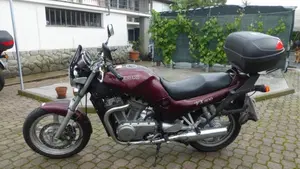 Suzuki   (2)