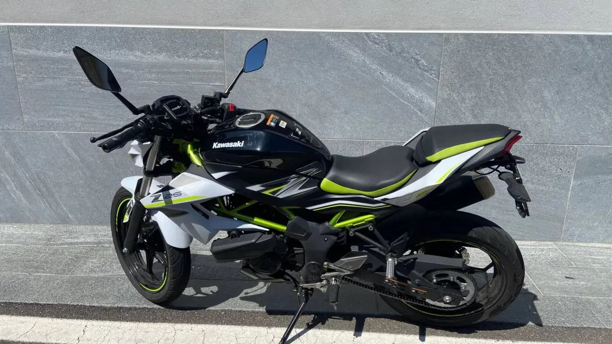 Kawasaki Z 125 (2021 - 24)  (4)