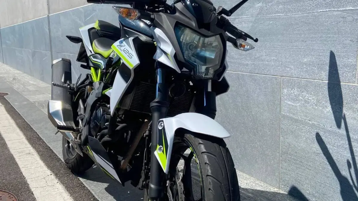 Kawasaki Z 125 (2021 - 24)  (2)