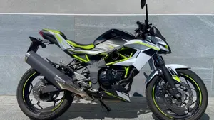Kawasaki Z 125 (2021 - 24) 