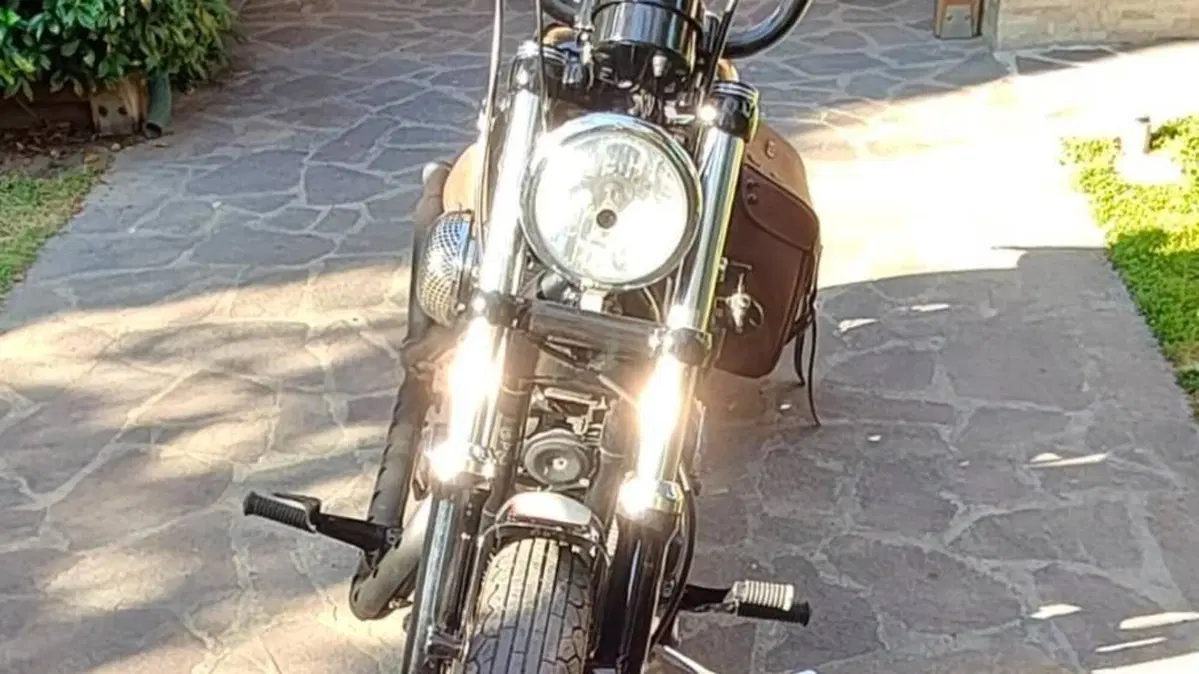 Harley-Davidson 883 Low (2005) - XL 883L  (7)