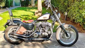Harley-Davidson 883 Low (2005) - XL 883L usata