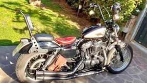 Harley-Davidson 883 Low (2005) - XL 883L  (5)