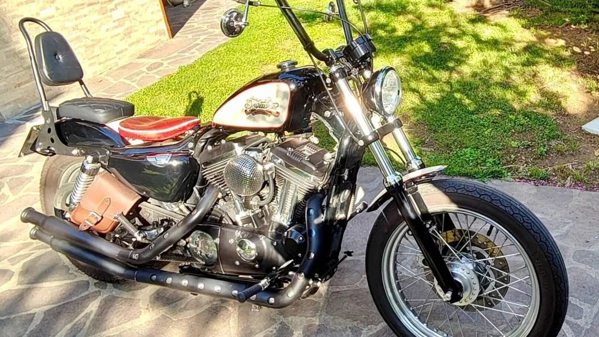 Harley-Davidson 883 Low (2005) - XL 883L  (3)