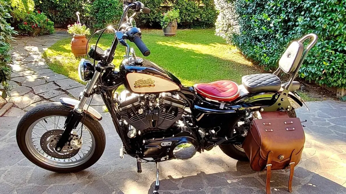 Harley-Davidson 883 Low (2005) - XL 883L  (2)