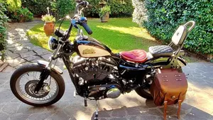 Harley-Davidson 883 Low (2005) - XL 883L  (2)