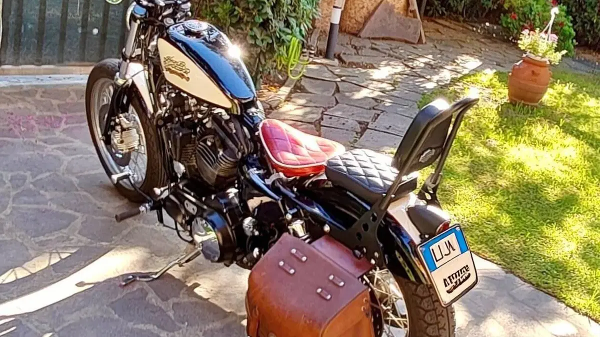 Harley-Davidson 883 Low (2005) - XL 883L  (6)