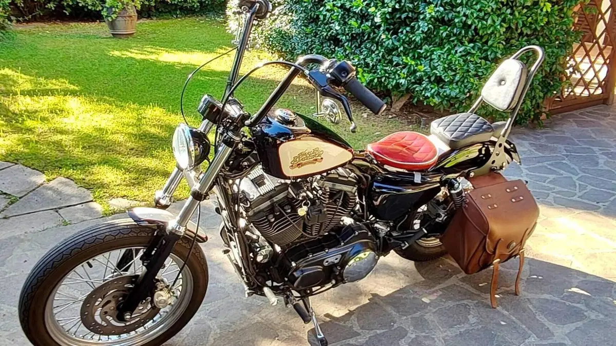 Harley-Davidson 883 Low (2005) - XL 883L  (4)