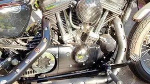 Harley-Davidson 883 Low (2005) - XL 883L  (9)