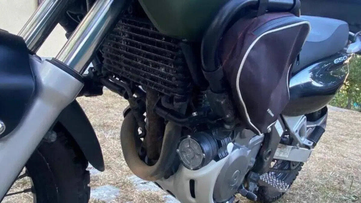 Suzuki XF 650 Freewind (1997 - 03)  (6)