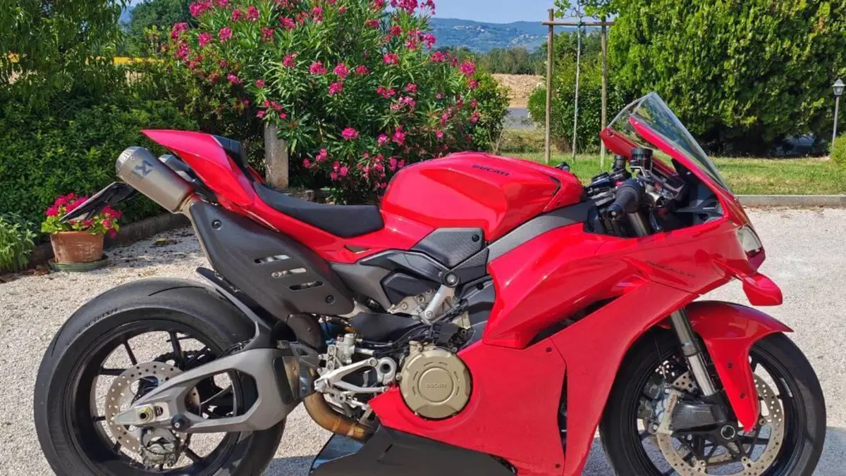 Ducati Panigale V4 (2025 - 26) 