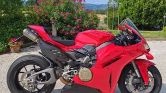 Ducati Panigale V4 (2025 - 26) usata