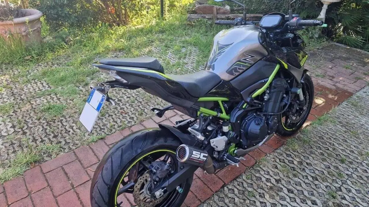 Kawasaki Z 900 Performance (2020)  (2)