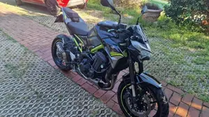 Kawasaki Z 900 Performance (2020)  (4)