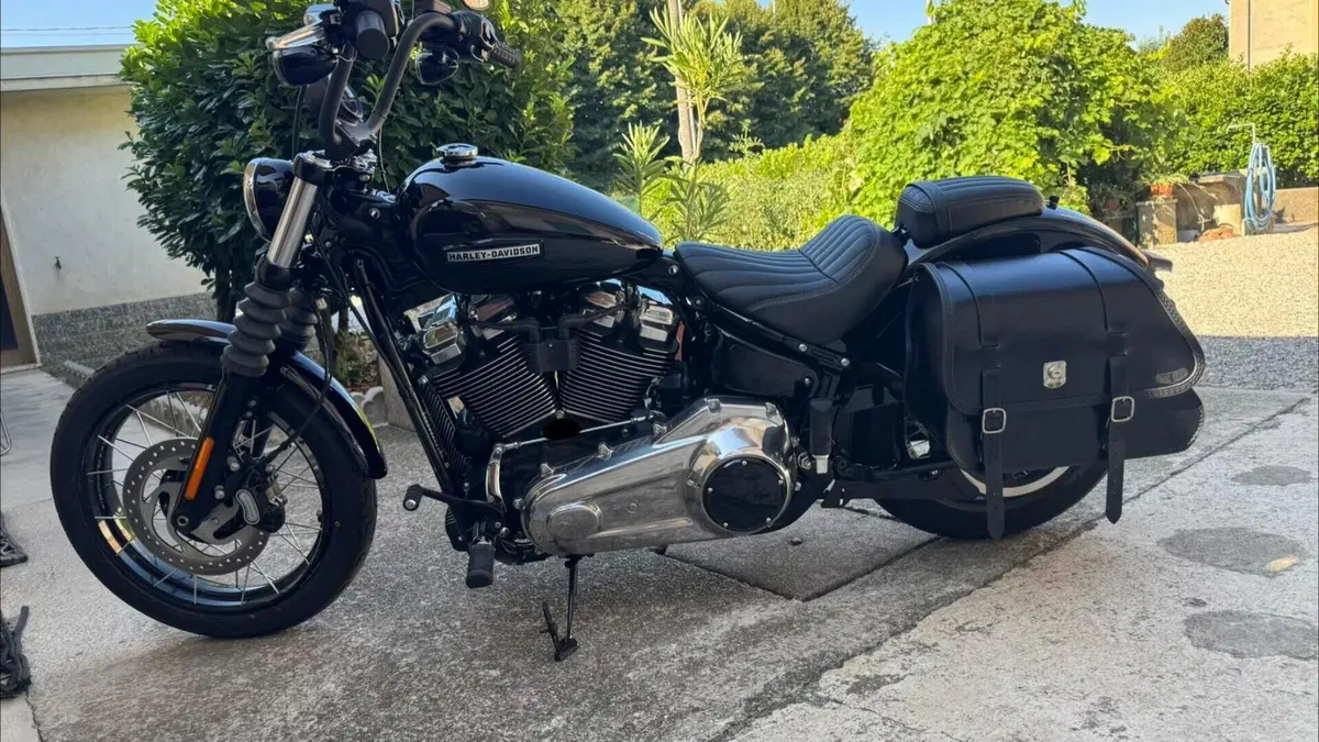 Harley-Davidson Street Bob 117 (2025 - 26) 