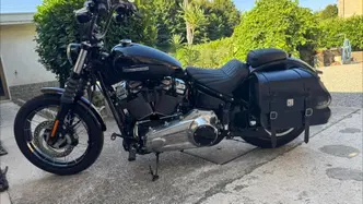 Harley-Davidson Street Bob 117 (2025 - 26) usata