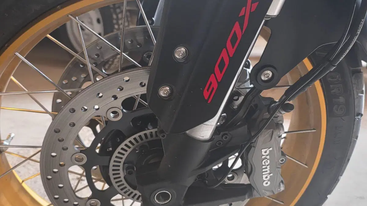 QJ Motor SRT 900 SX (2025 - 26)  (4)