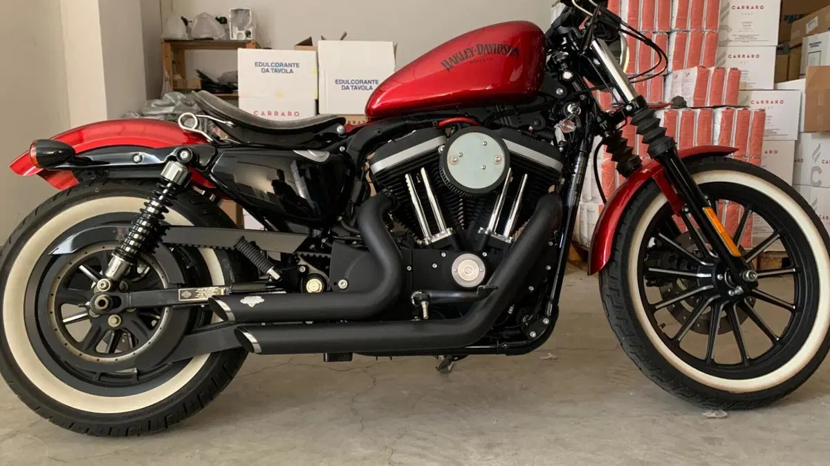 Harley-Davidson 883 Iron (2012 - 14) - XL 883N  (2)