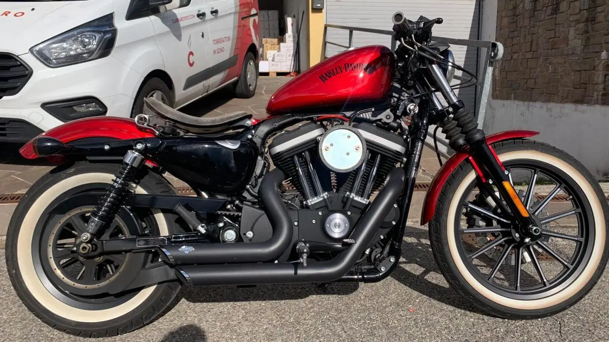 Harley-Davidson 883 Iron (2012 - 14) - XL 883N  (6)