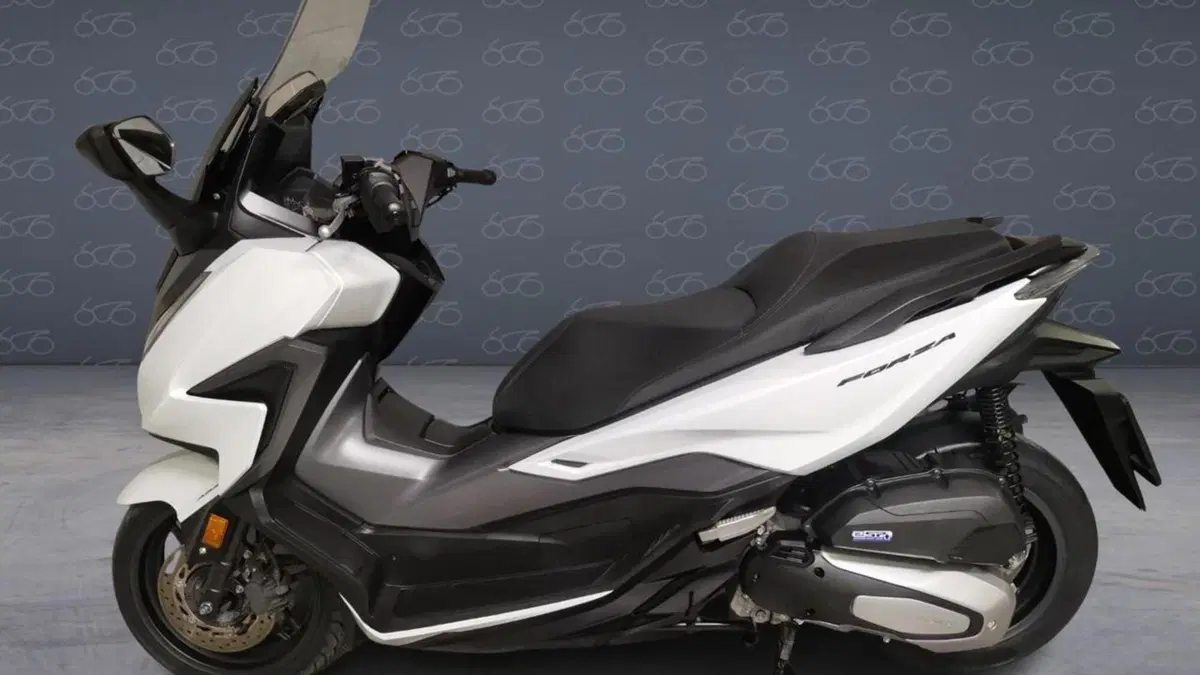 Honda Forza 125 ABS (2018 - 20)  (3)