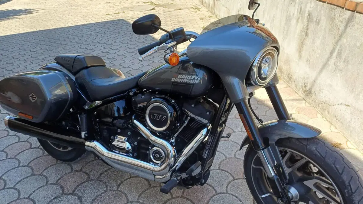 Harley-Davidson 107 Sport Glide (2018 - 20)  (3)