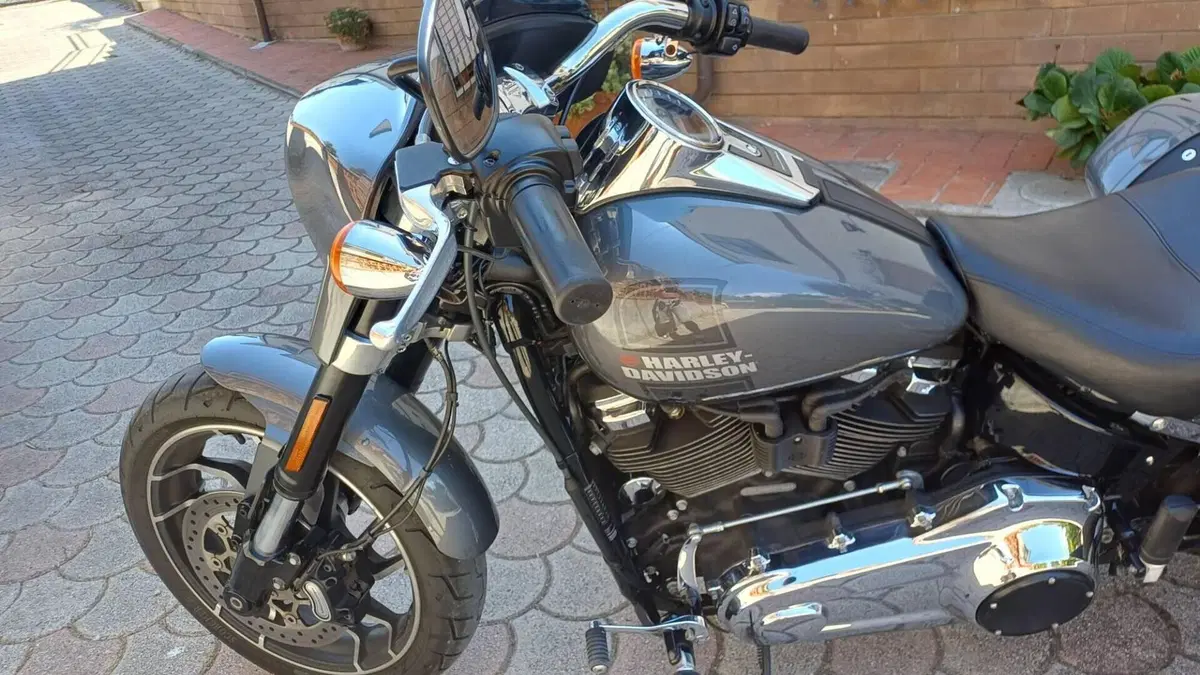 Harley-Davidson 107 Sport Glide (2018 - 20)  (7)