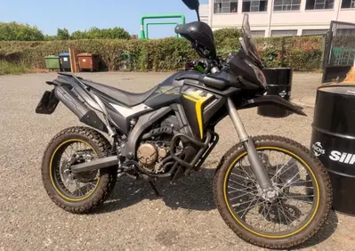 Voge Valico 300 Rally (2022 - 26) - Annuncio 10075832