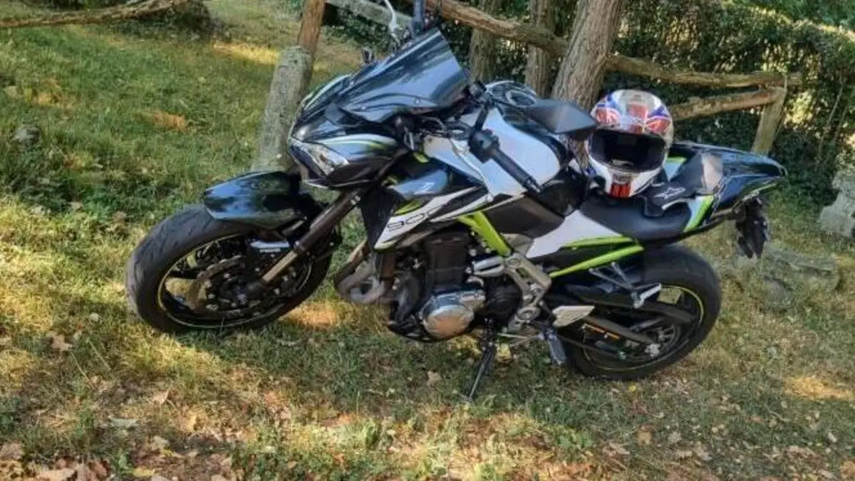 Kawasaki Z 900 Performance (2019) 