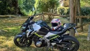 Kawasaki Z 900 Performance (2019)  (2)