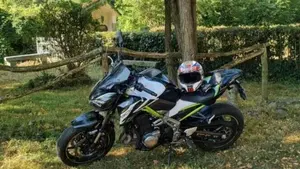 Kawasaki Z 900 Performance (2019)  (4)