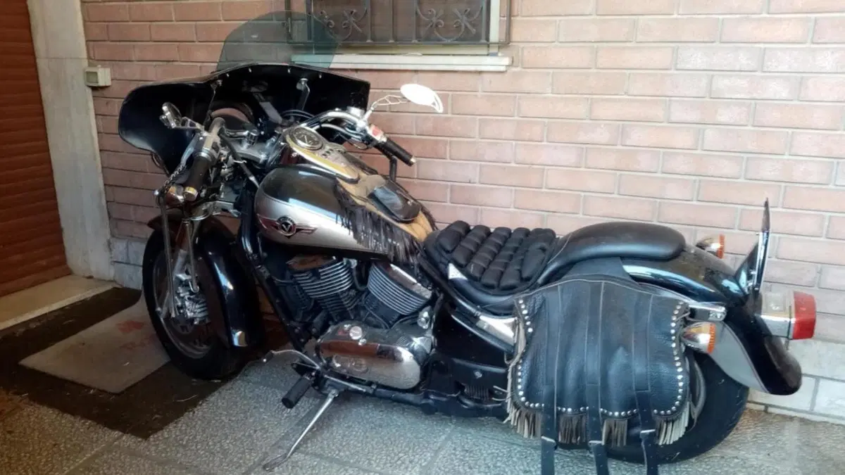 Kawasaki VN 800 Classic (2001 - 06)  (4)