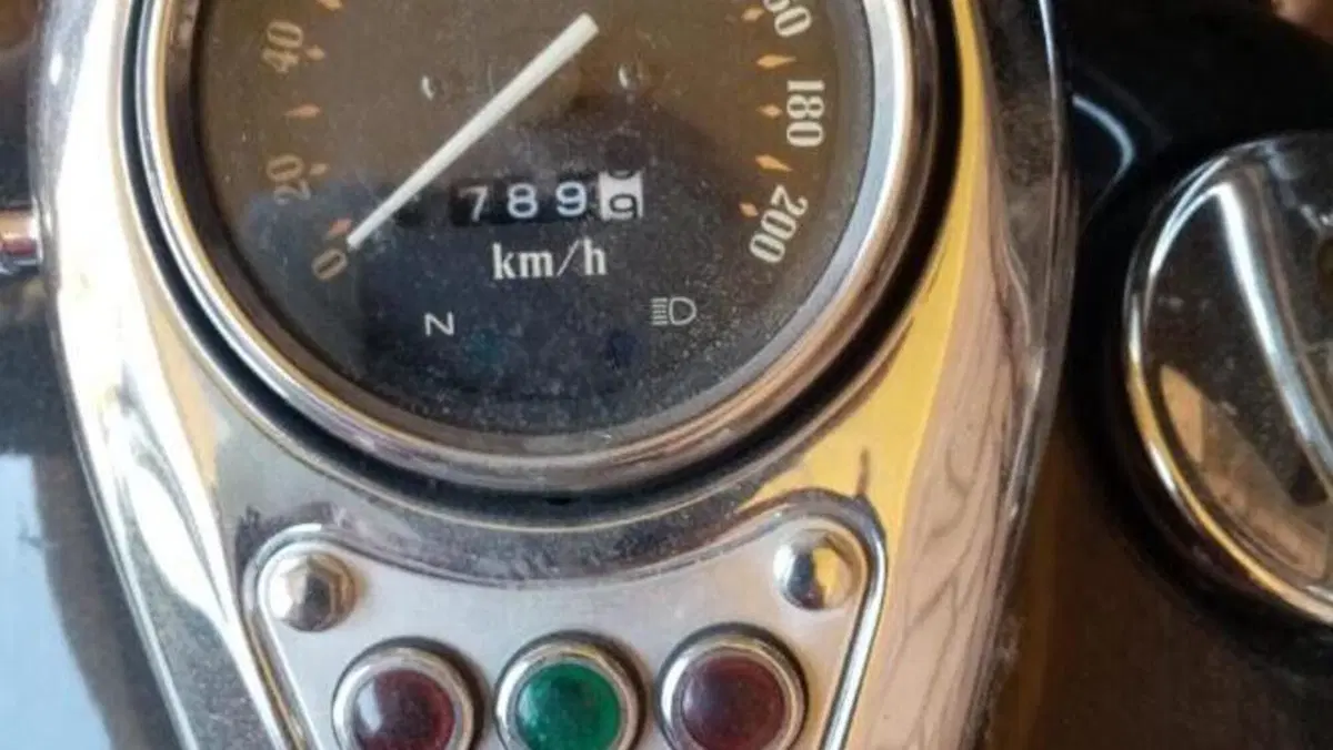 Kawasaki VN 800 Classic (2001 - 06)  (5)