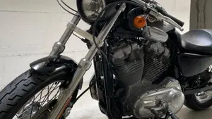 Harley-Davidson 883 Low (2008 - 12) - XL 883L  (7)