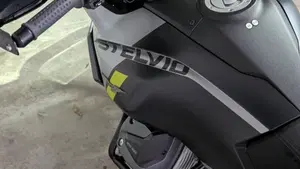 Moto Guzzi Stelvio PFF (2024 - 26)  (4)