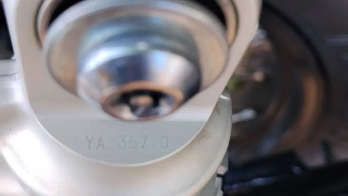 Yamaha SCR 950 ABS (2017 - 20)  (10)