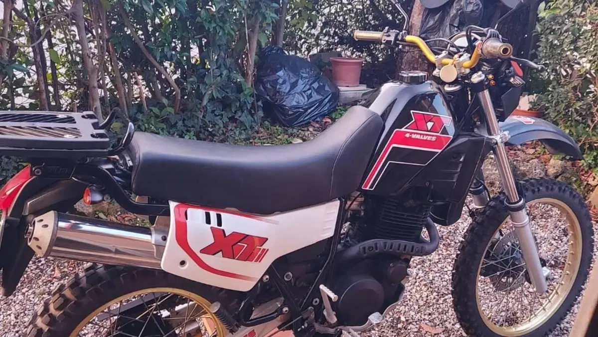 Yamaha XT 600 (1984 - 98)  (6)
