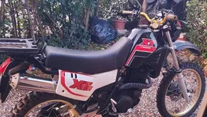 Yamaha XT 600 (1984 - 98)  (6)