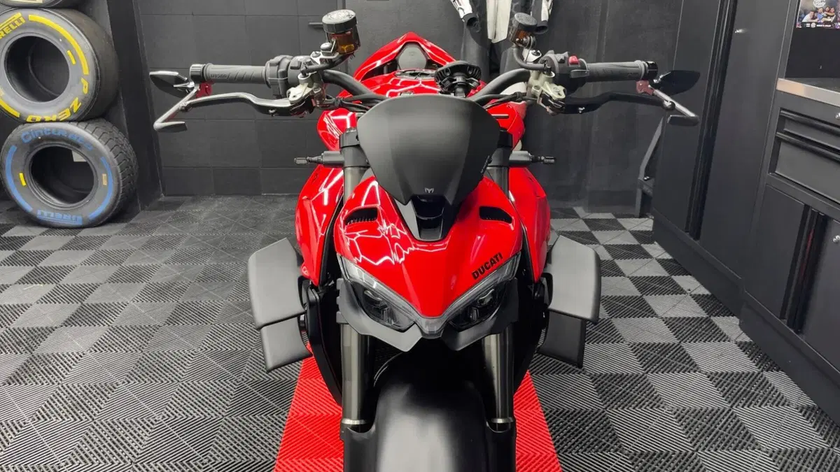 Ducati Streetfighter V4 (2023 - 24)  (7)