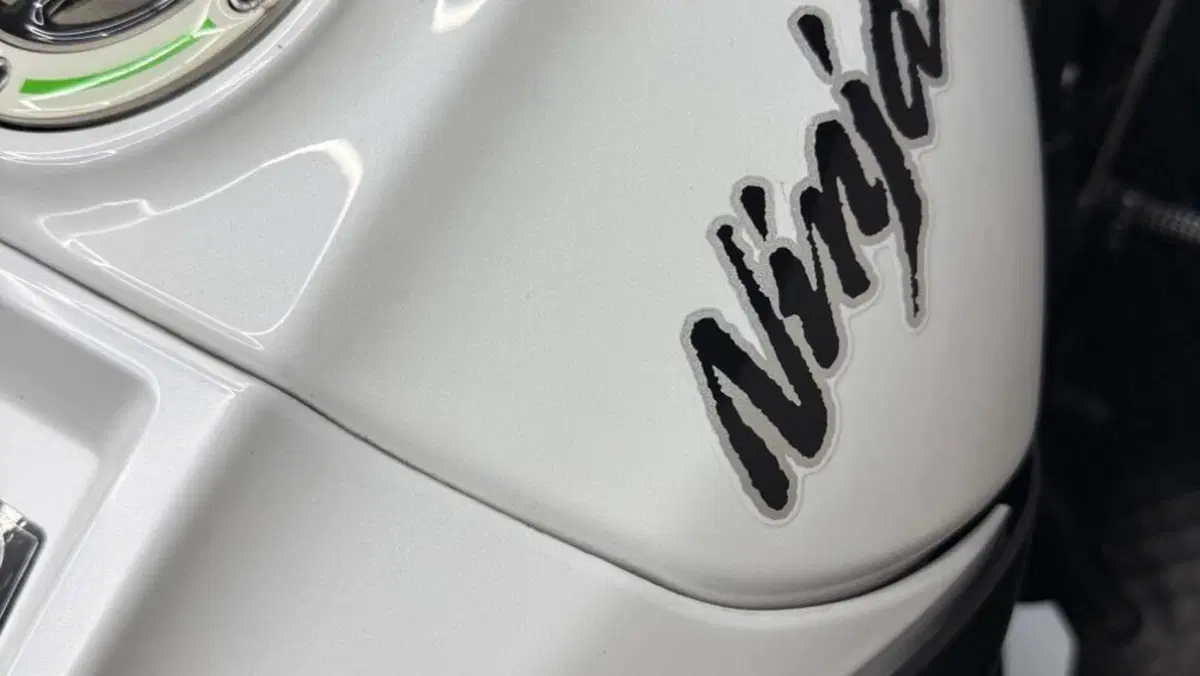 Kawasaki Ninja 1000 ZX-10R (2011 - 15)  (9)