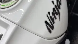 Kawasaki Ninja 1000 ZX-10R (2011 - 15)  (9)