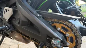 Kawasaki Ninja 1000 ZX-10R (2011 - 15)  (11)
