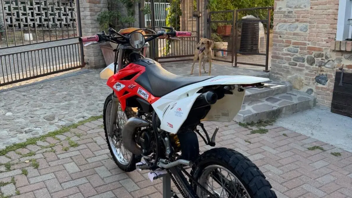 Betamotor RR 50 Enduro (2011 - 18)  (2)