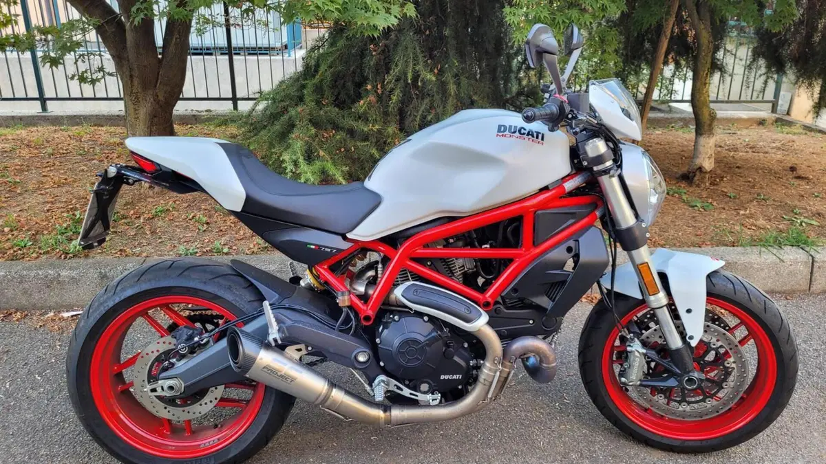Ducati Monster 797 (2017 - 18) 