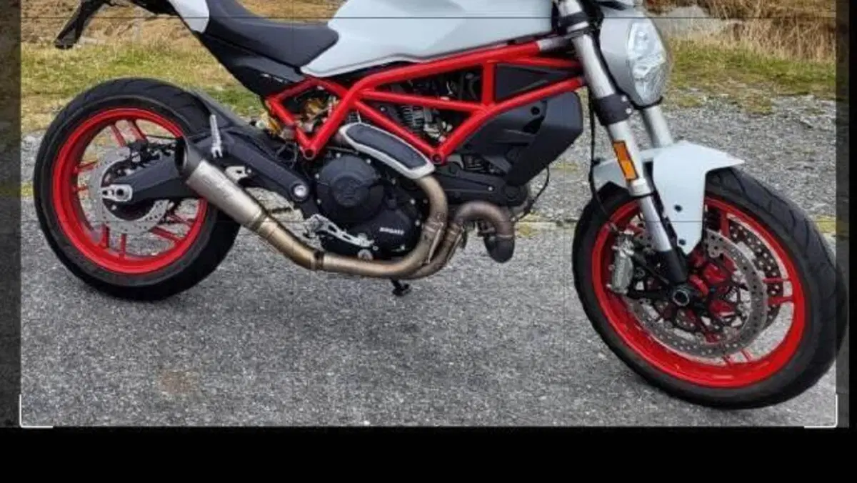 Ducati Monster 797 (2017 - 18)  (4)