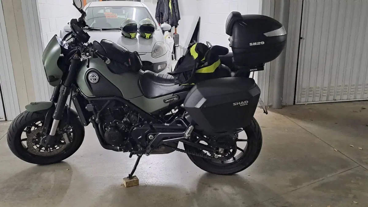 Benelli Leoncino 500 ABS (2017 - 20)  (8)